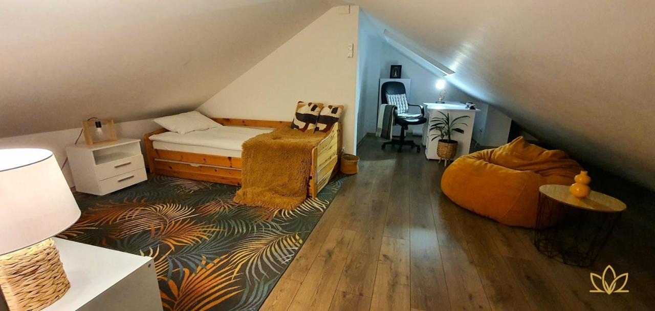 Hoobee Home & Rooftop Terrace Targu Mures Exterior photo